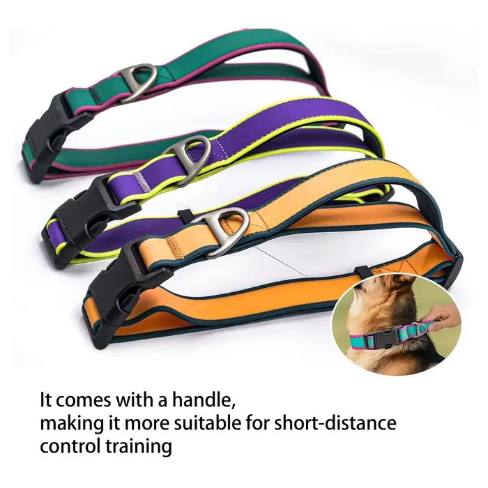 Collier d'entraînement pour chien