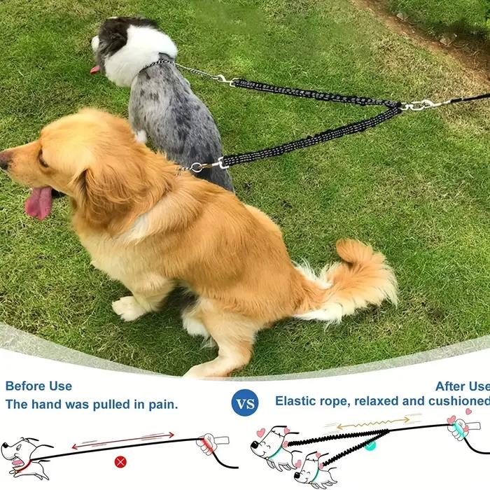 Laisses doubles pour chiens de compagnie