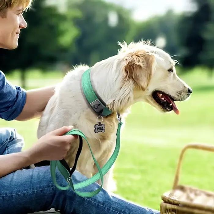 Colliers rembourrés pour chiens de petite