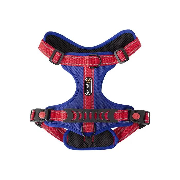 DobSuffolk-Collier de marche Pinscher SFP pour animaux de compagnie