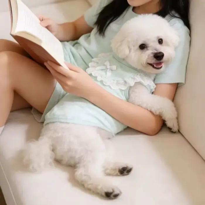 Gilet en dentelle pour chien à col volanté