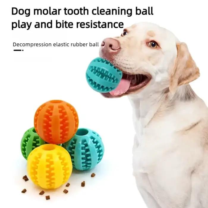 Distributeur de friandises pour animaux de compagnie