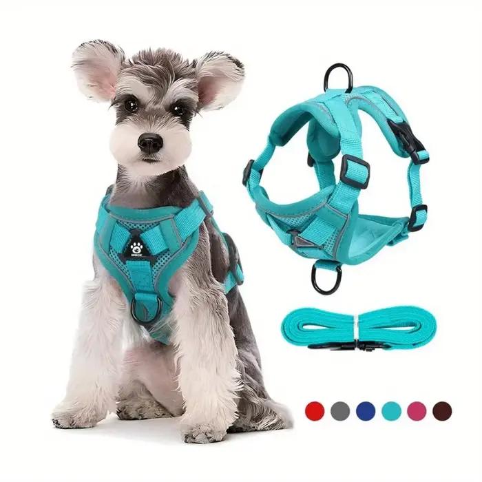 Ensemble harnais et laisse pour chien sans traction