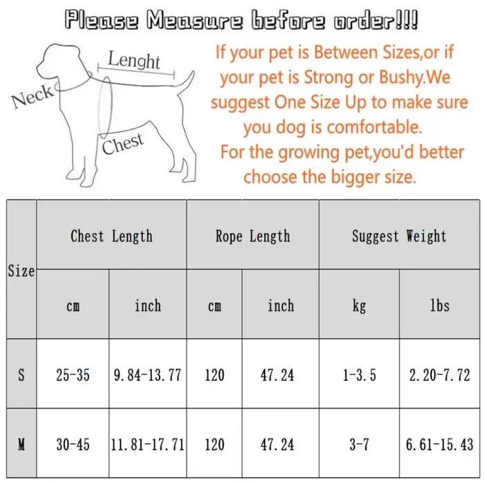 Corde de marche extérieure SFP pour animaux de compagnie