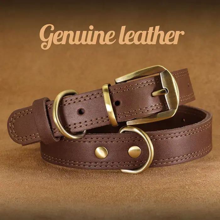 Collier en cuir véritable pour petits et grands chiens