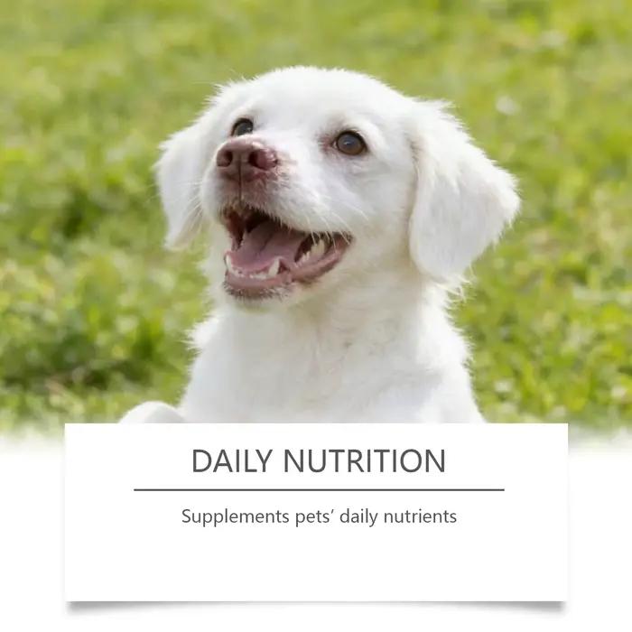 Poudre de Taurine pour Chiens Facile à Mélanger Soutient la Santé Cognitive Améliore la Luminosité du Pelage