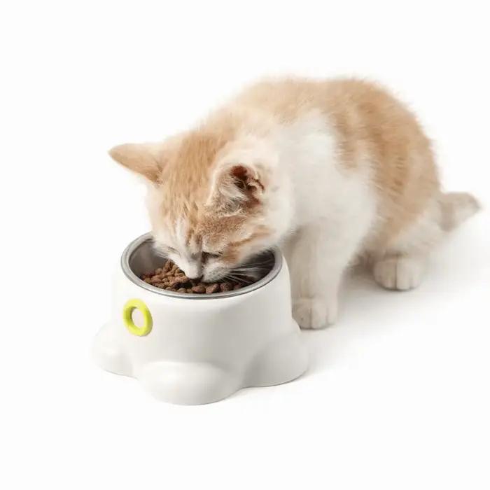 Bol pour animaux de compagnie en acier inoxydable