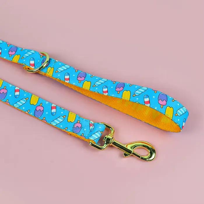Laisse pour chien, cadeau de saint-valentin et du nouvel an pour chien