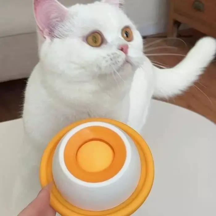 Gamelle pour chat et chien