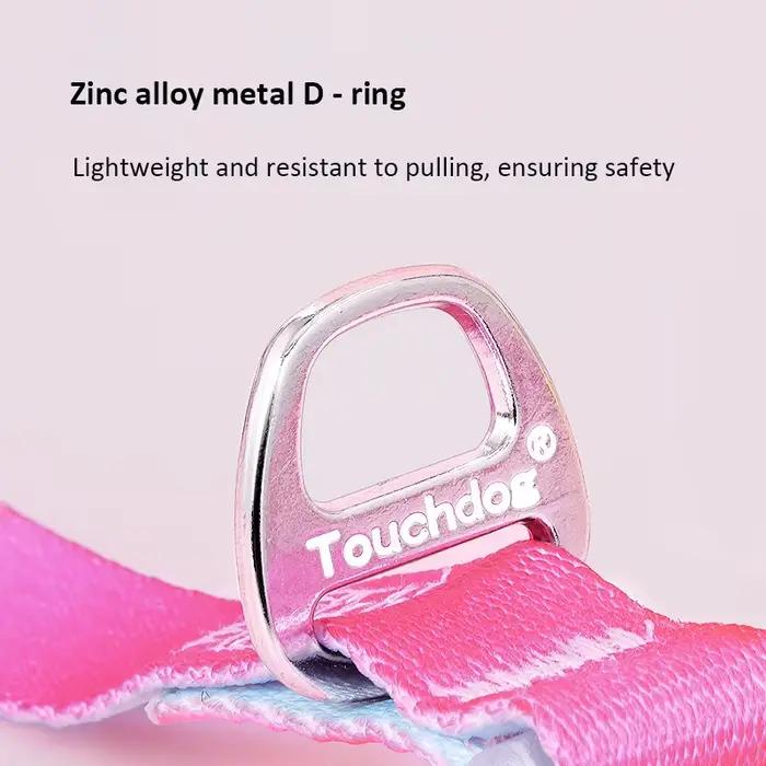 Ensemble de laisse de collier de chien Ombré irisé