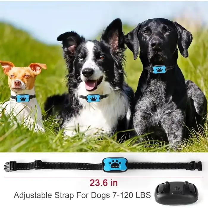 Collier Anti-aboiement pour chien