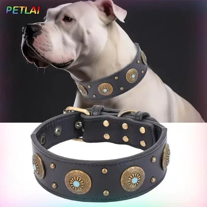 Collier pour chien design rétro
