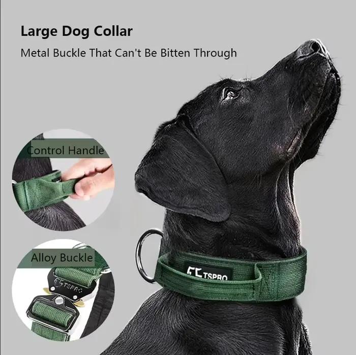 Collier tactique pour chien avec laisse