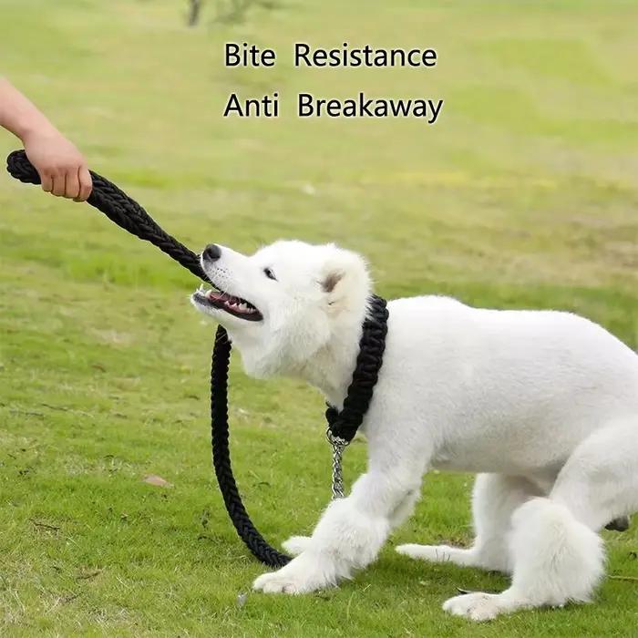 Laisse pour chien robuste et durable