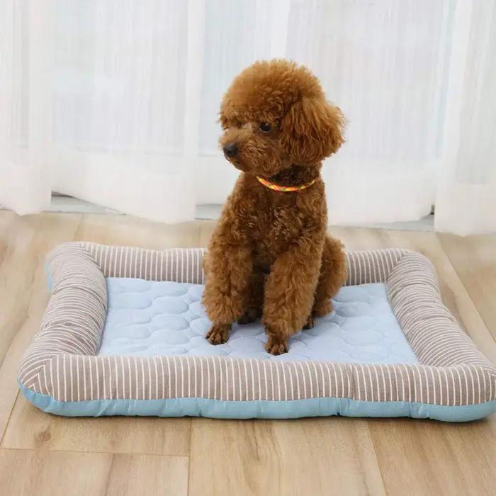 Coussin rafraîchissant pour chiens