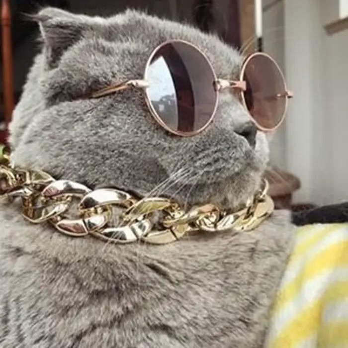 Collier chaîne à la mode pour animaux de compagnie