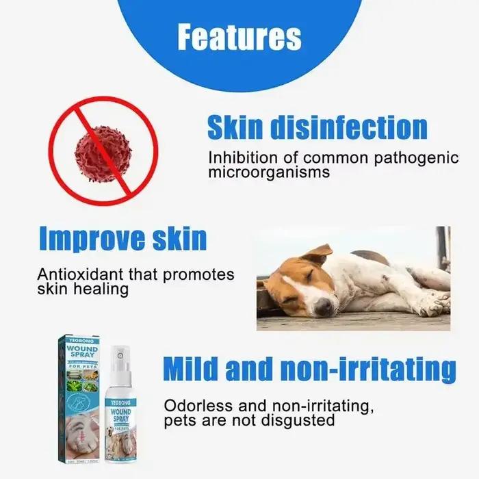 Spray anti-démangeaison et anti-démangeaison pour animaux de compagnie