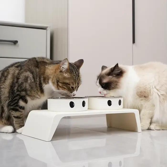 Bols surélevés pour animaux de compagnie avec support surélevé et double