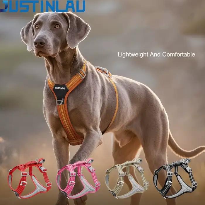 JUSTINLAU Harnais pour animaux de compagnie