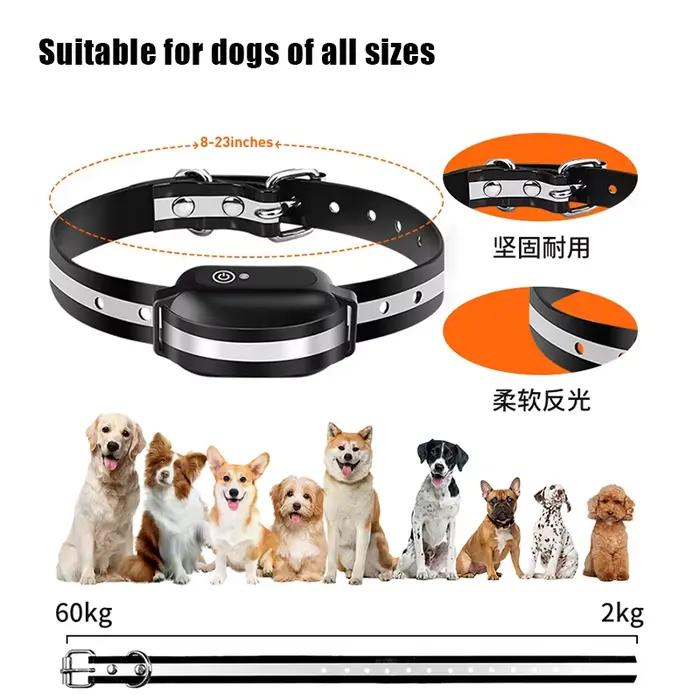 Collier d'entraînement pour chiens télécommandé pour animaux de compagnie