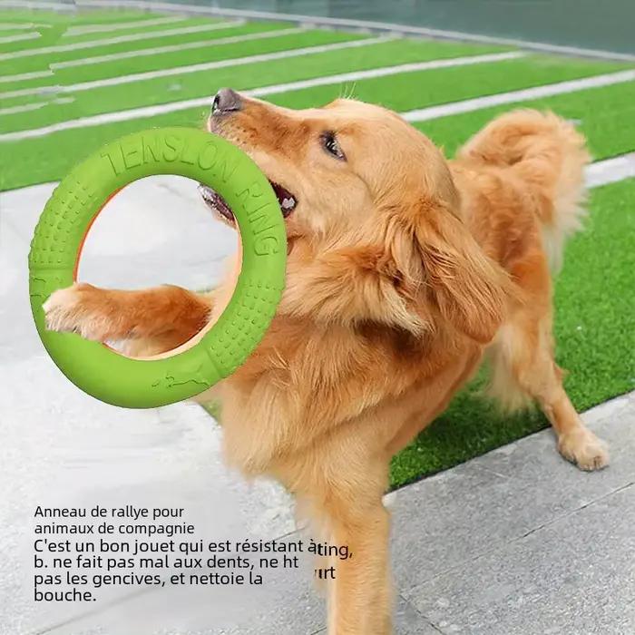 Jouets d'entraînement pour chiens