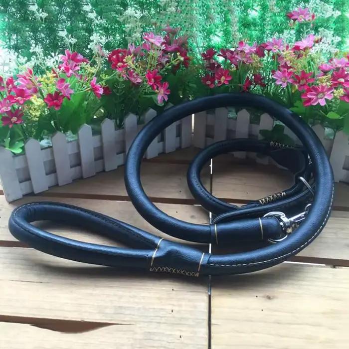 Ensemble collier et laisse en cuir véritable pour animaux de compagnie