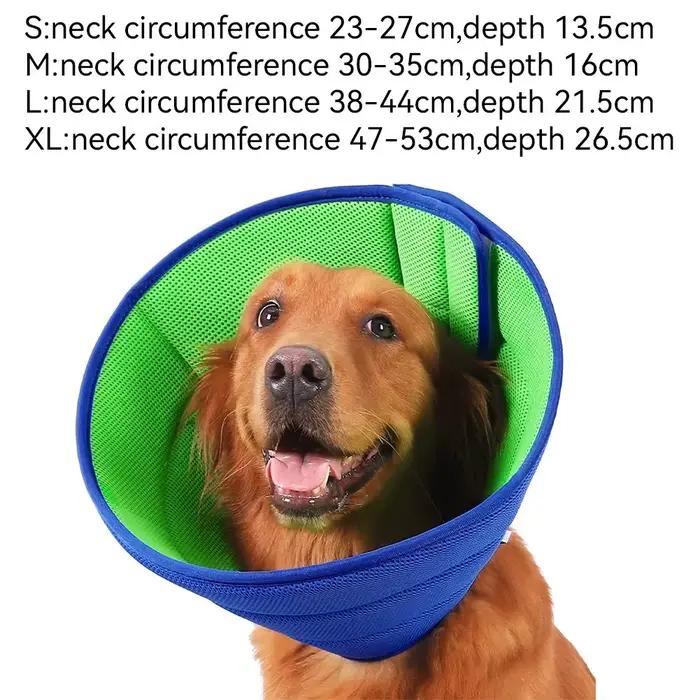 Collier de protection pour chien