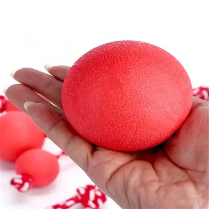 Balles rebondissantes pour chiens
