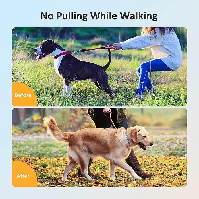 Collier d'entraînement efficace pour chien