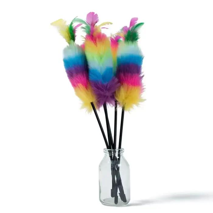 Baguette de teaser en plumes colorées