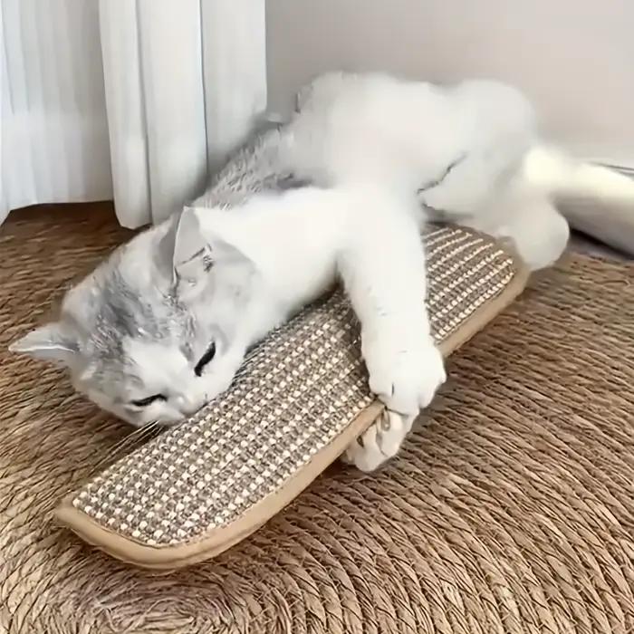 Coussin de jeu et griffoir pour chat pour le jeu individuel et l'interaction intime