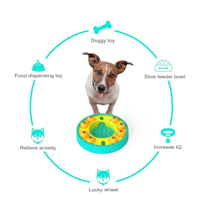 Jouets interactifs pour chiens de petite