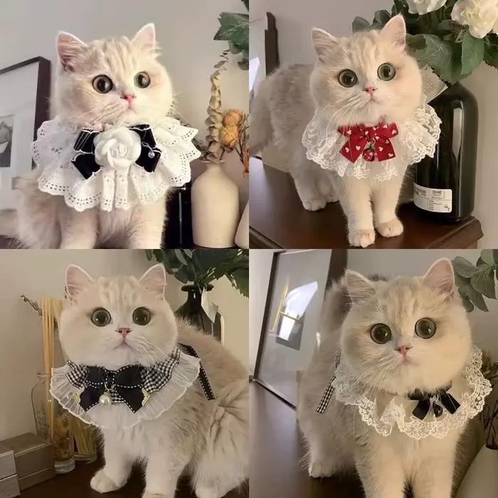 Collier chat chien soie mariage