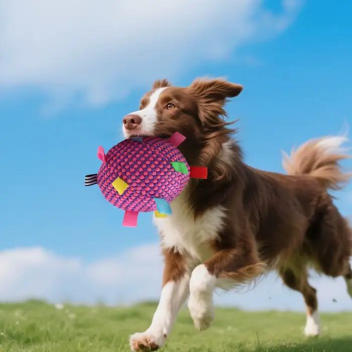 Jouet interactif pour chien
