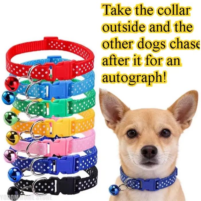 Collier universel pour chats et chiens