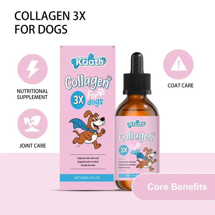 Gouttes de collagène pour animaux de compagnie : Maintien efficace de la santé du cartilage