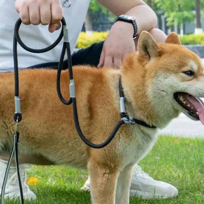 Laisse coordonnante pour collier de chien