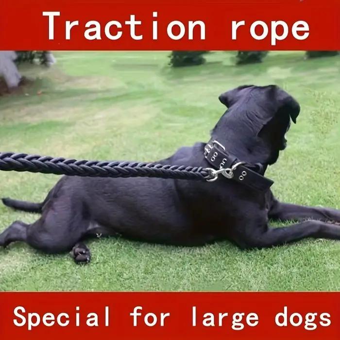 Laisse solide pour chien grande
