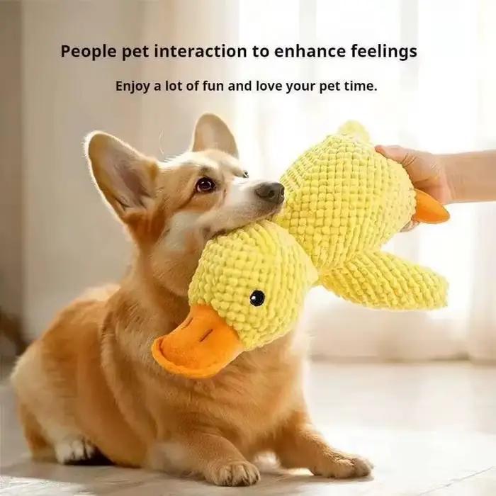 Jouets indestructibles pour animaux de compagnie agressifs (chats et chiens)