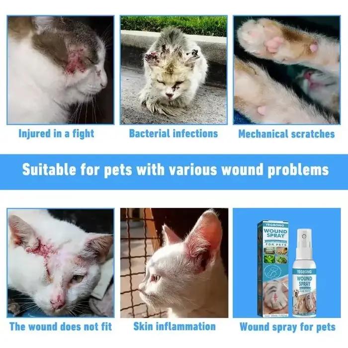 Spray anti-démangeaison et anti-démangeaison pour animaux de compagnie