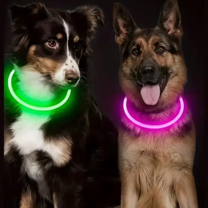 Collier lumineux LED pour chien et chat