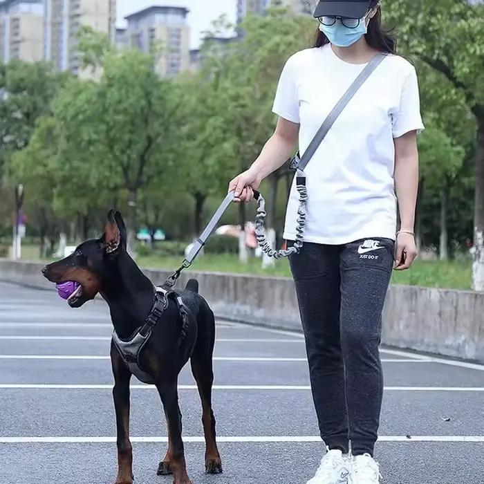 Laisse de chien mains libres pour animaux de compagnie marche course Jogging