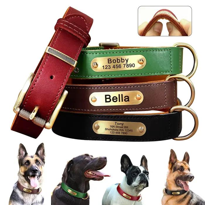 Collier de chien personnalisé en cuir véritable