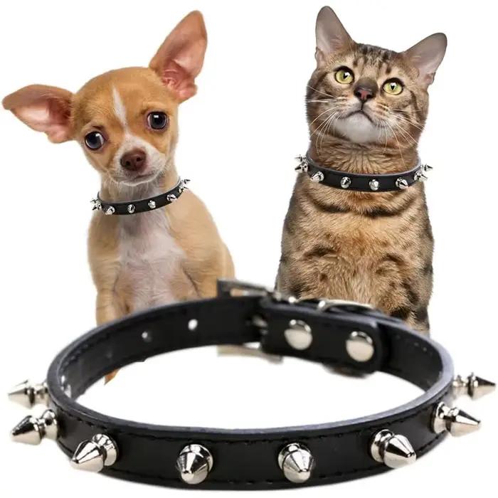 Colliers pour petits chiens
