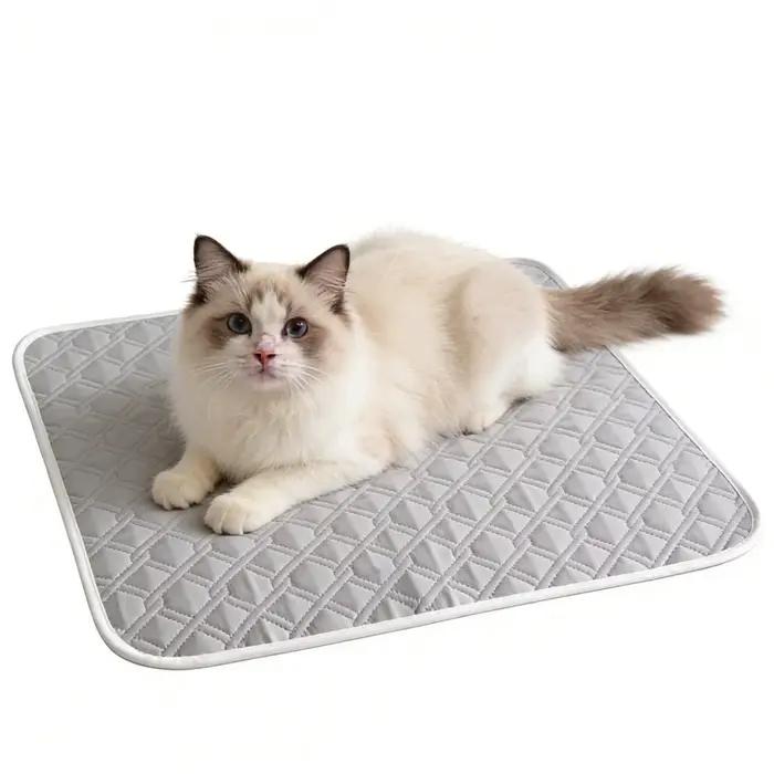 Tapis rafraîchissant pour chien