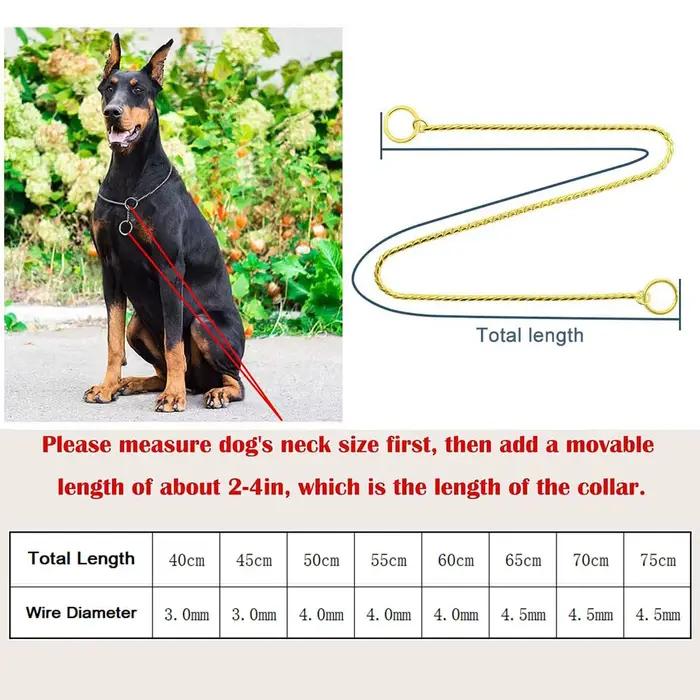 Collier de étranglement en métal pour chien