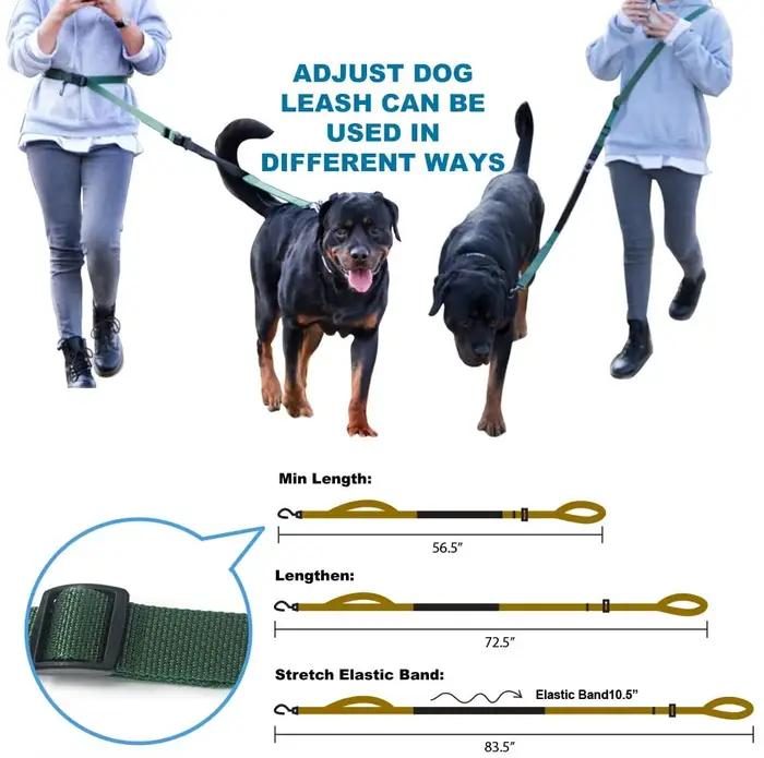 Laisse pour chien mains libres TSPRO pour la marche et la course avec ceinture de sécurité pour voiture