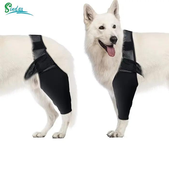 Genouillère pour chien de compagnie