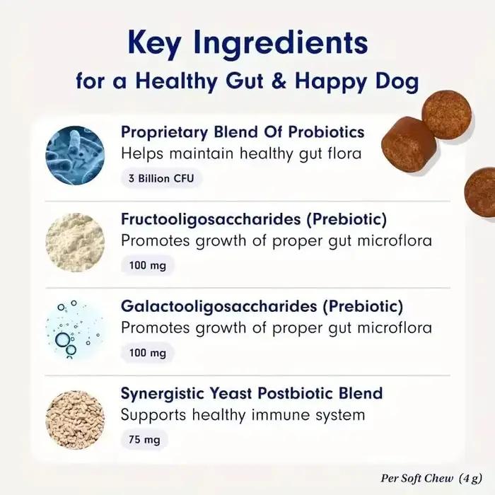 30 Probiotiques pour chiens – Complément digestif et immunitaire pour toutes les races
