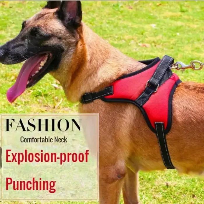 Harnais pour chien Durable réfléchissant réglable